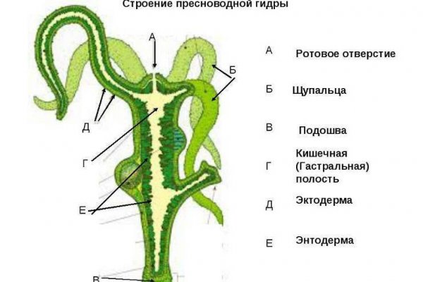 Магазин kraken даркнет